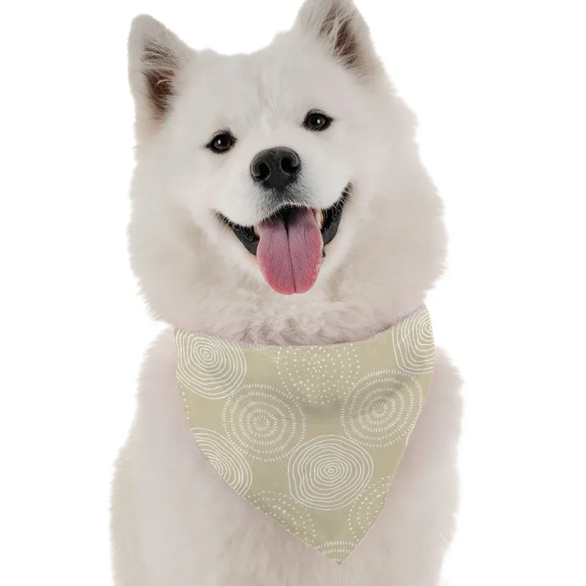 Faye Watercolor Dog Bandana by Bandoggies - Image 2