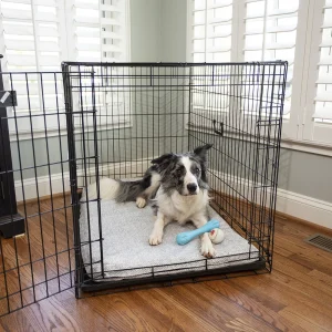Forgiveness™ Fully Washable Crate Pad – Show Dog Collection