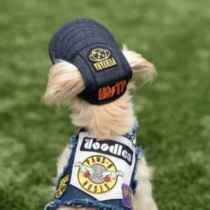 Ruff & Roll Denim Hat