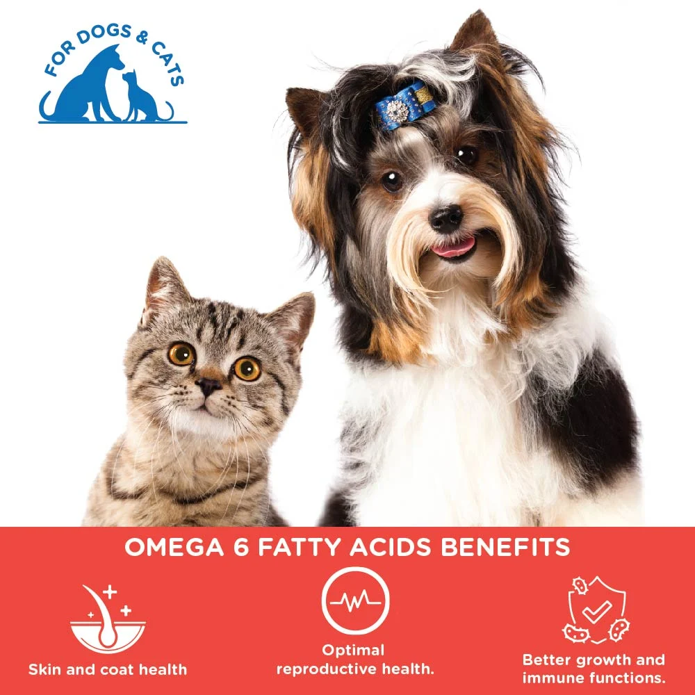 Pawsome Companion Furever Salmon Oil for Dogs & Cats 100ml - Image 2