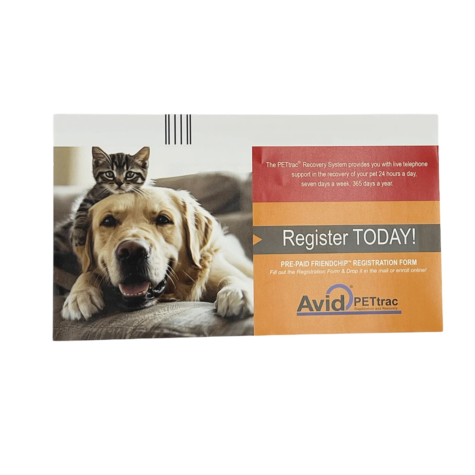 Avid Microchip Registration Forms - Image 2