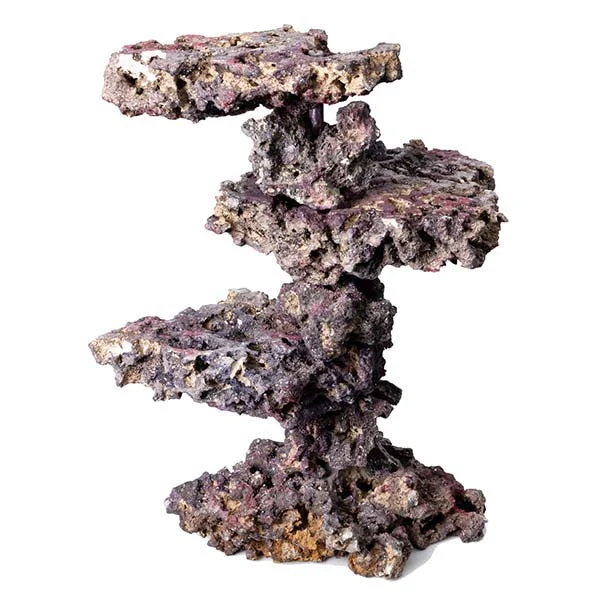 Caribsea® LifeRock Coral Tree - Image 2