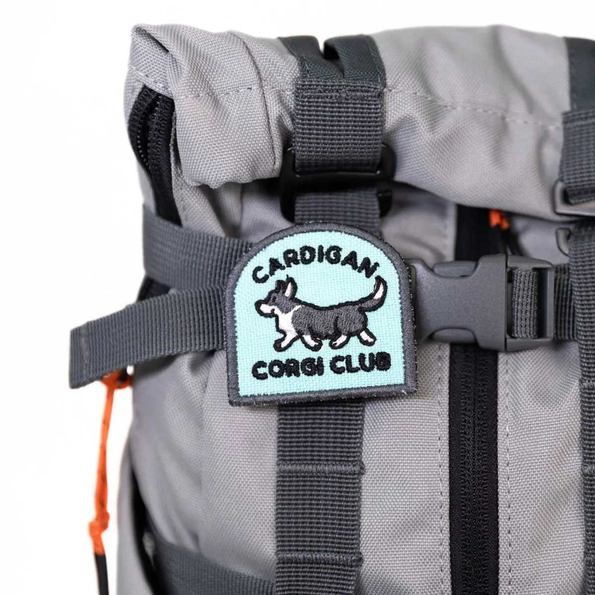 Cardigan Corgi Club Arch Patch - Image 2