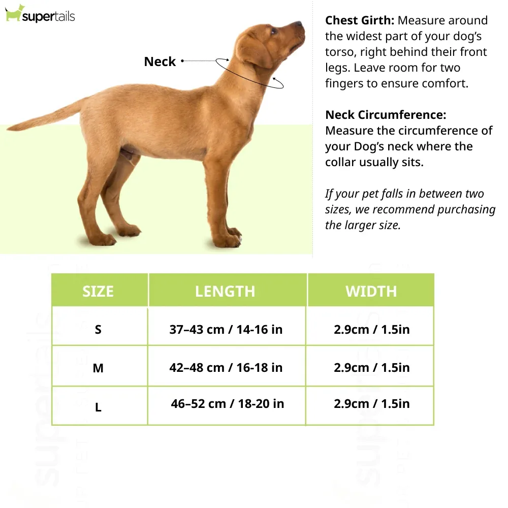 Hunter Softie Triluxe Collar for Dogs (Black) - Image 2
