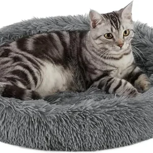 Best Friends by Sheri Cat Donut Bed