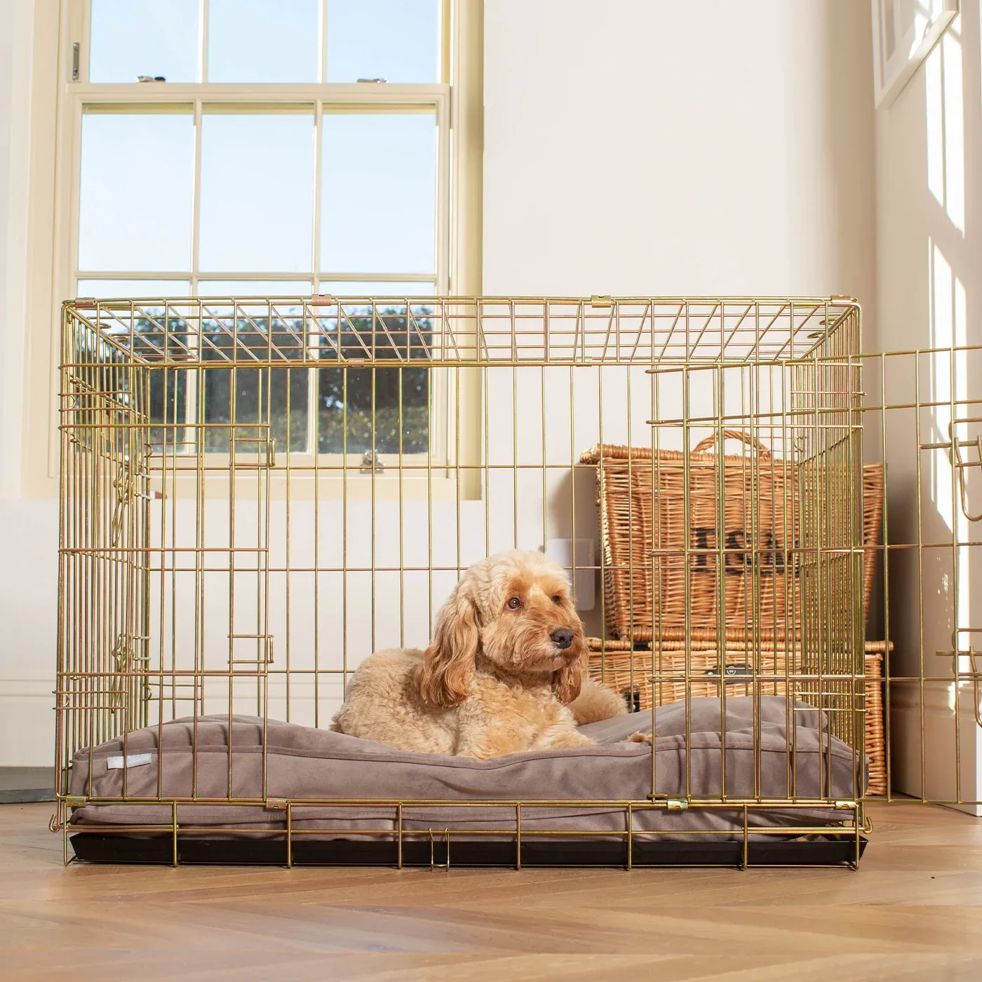 Dog Cushion in Silt Velvet by Lords & Labradors