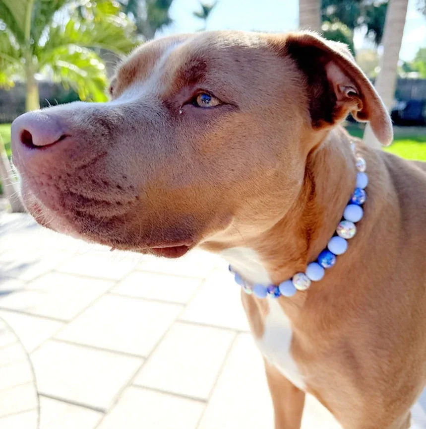Blueberry Bash Beaded Collar - Image 2