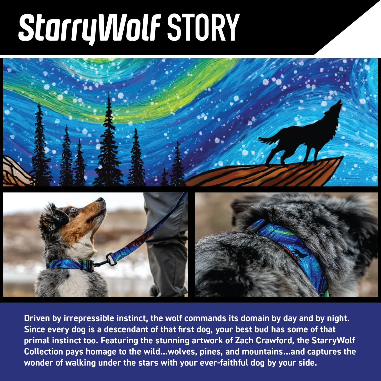 StarryWolf COMFORT DOG HARNESS - Image 2