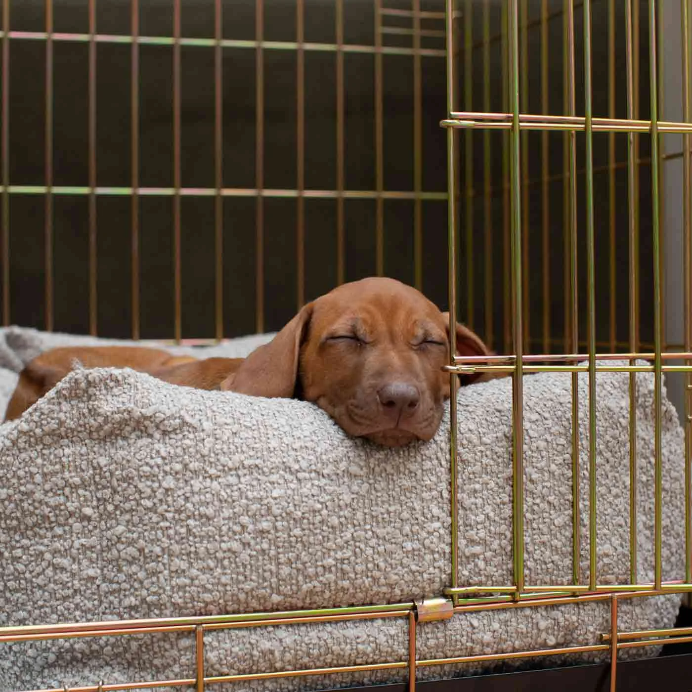 Dog Crate with Cosy & Calming Puppy Crate Bed in Mink Bouclé by Lords & Labradors - Image 2