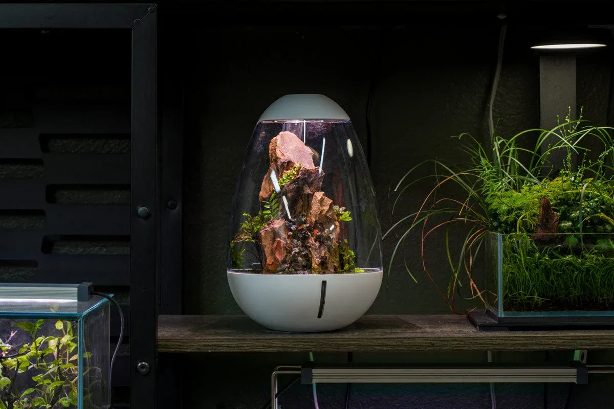 Chihiros Tiny Terrarium Egg - Image 2