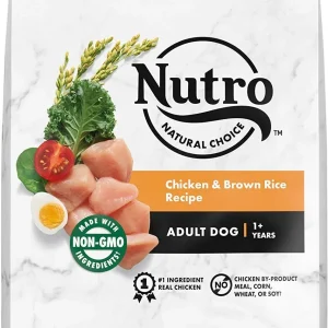 Nutro Natural Choice Adult Chicken, Rice & Sweet Potato Dry Dog Food - 22 lb Bag