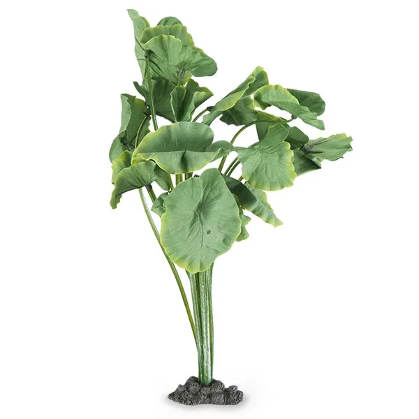 Azoo Real Plant Artificial Nuphar sp. - Image 2