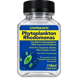 Phytoplankton Rhodomonas - Live