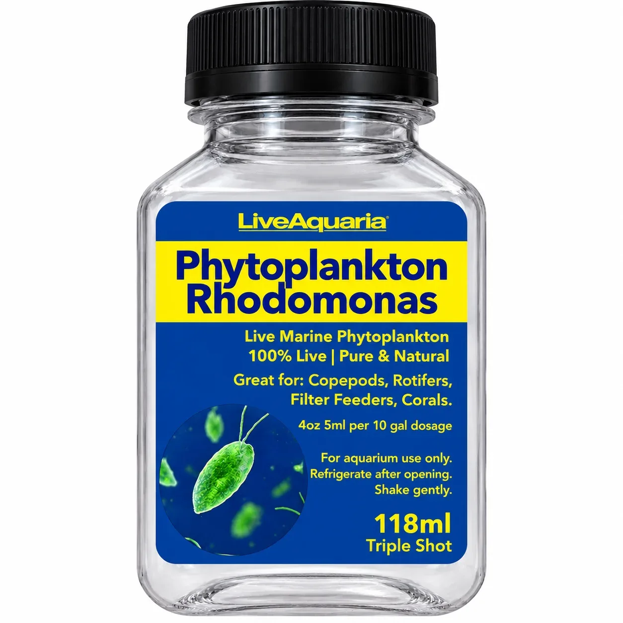 Phytoplankton Rhodomonas - Live