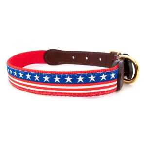 American Traditions Leather and Ribbon Collar- Stars and Stripes