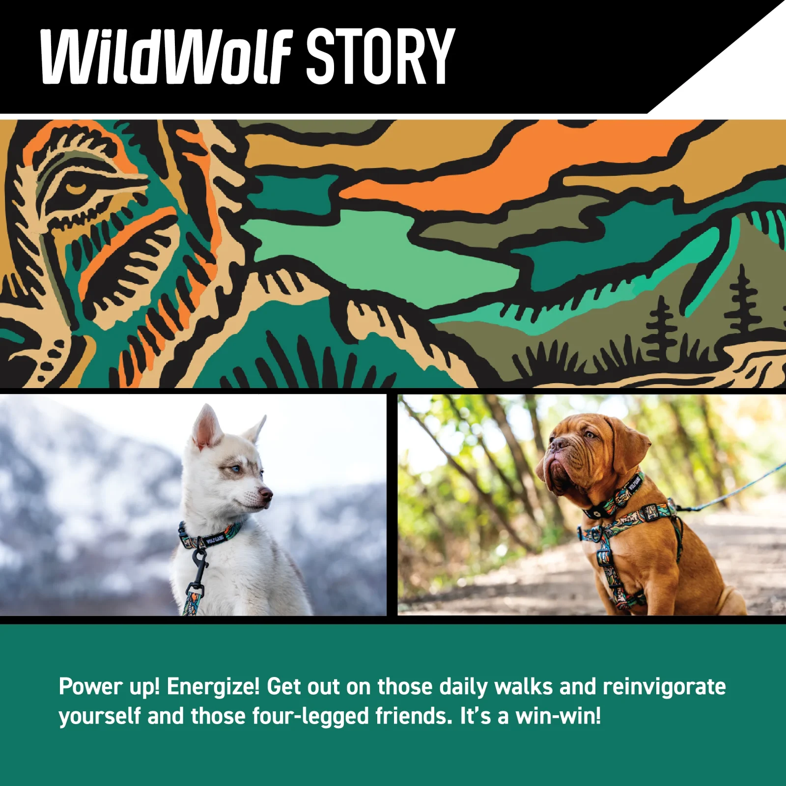 WildWolf COMFORT DOG HARNESS - Image 2