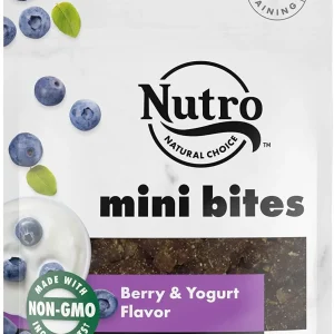 Nutro Mini Bites Berry Crunchy Dog Treats - 4.5 oz - Case of 8