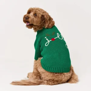 Jolly Dog Sweater