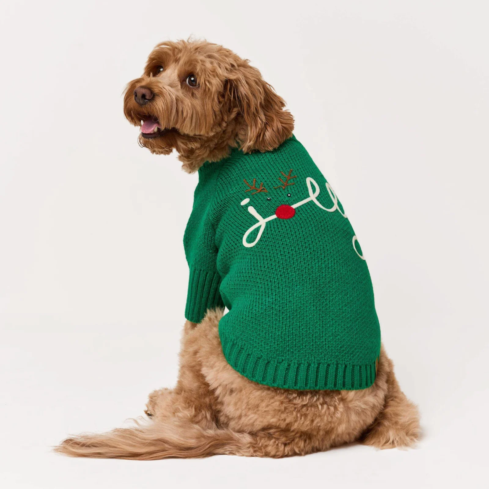 Jolly Dog Sweater