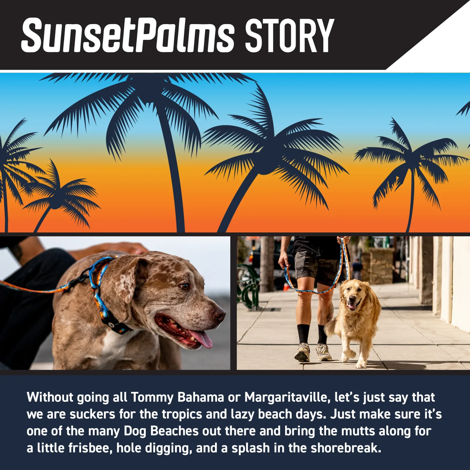 SunsetPalms Wide Dog Collar - Image 2