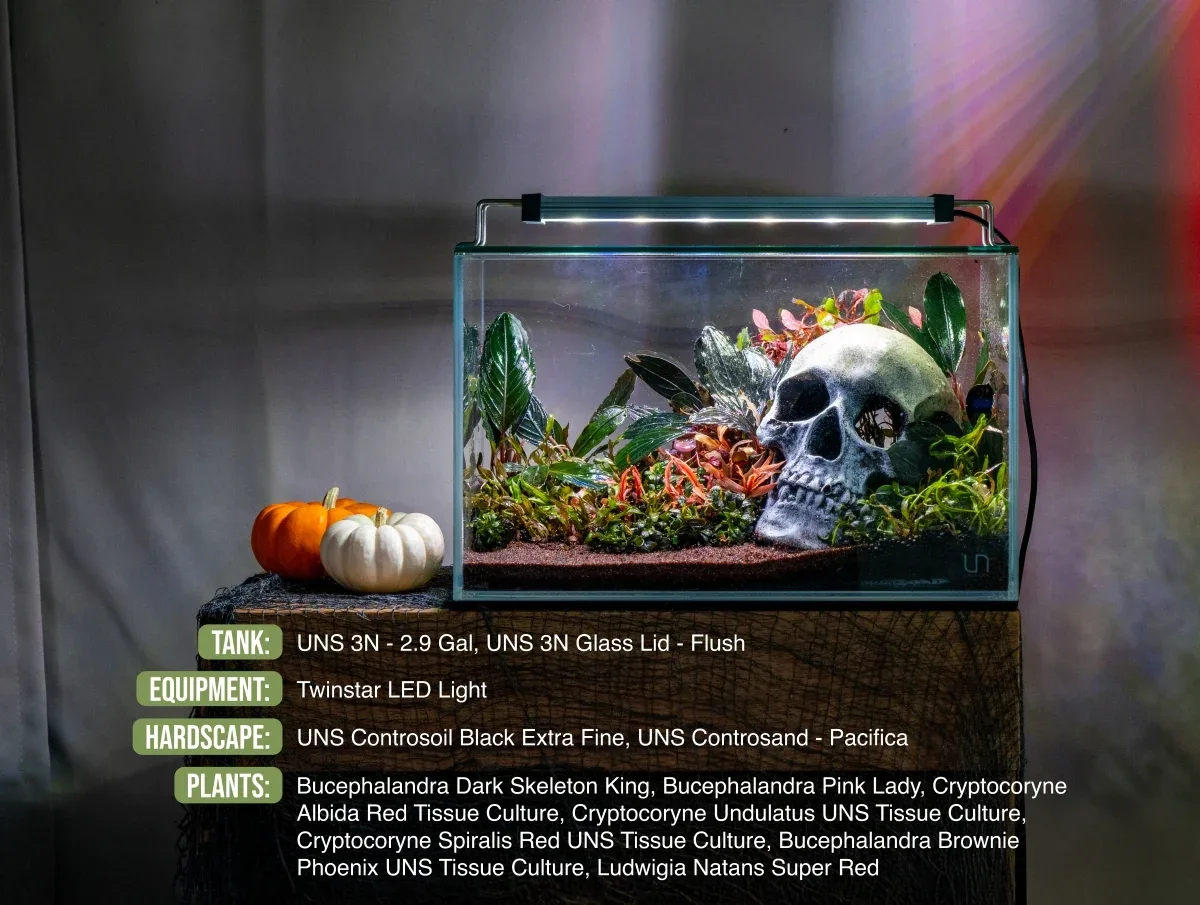 UNS 3N - 2.9 Gallon Ultra Clear Rimless Aquarium - Image 2
