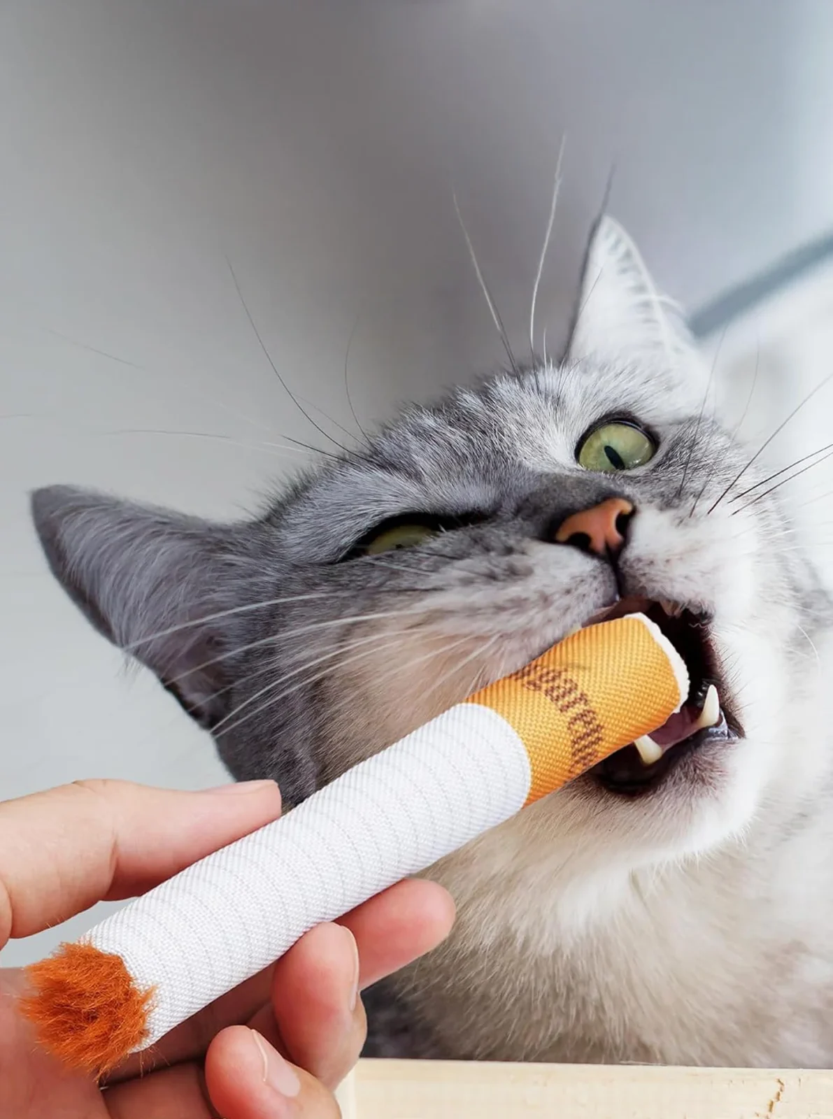 CHEWGARETTES ENRICHMENT CAT TOY - Image 2