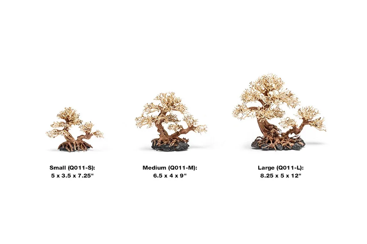 UNS Bonsai 011 - Image 2