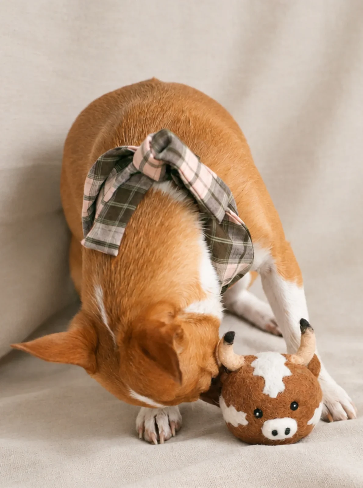 TEXAS LONGHORN BEASTBALL WOOL DOG TOY - Image 2
