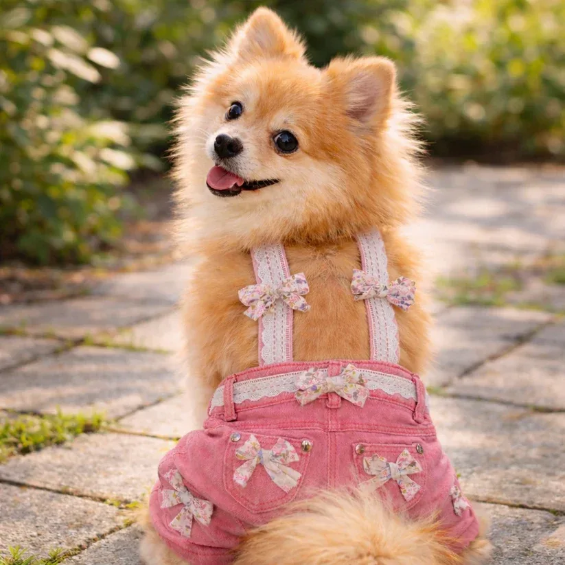Pink Lace Overalls