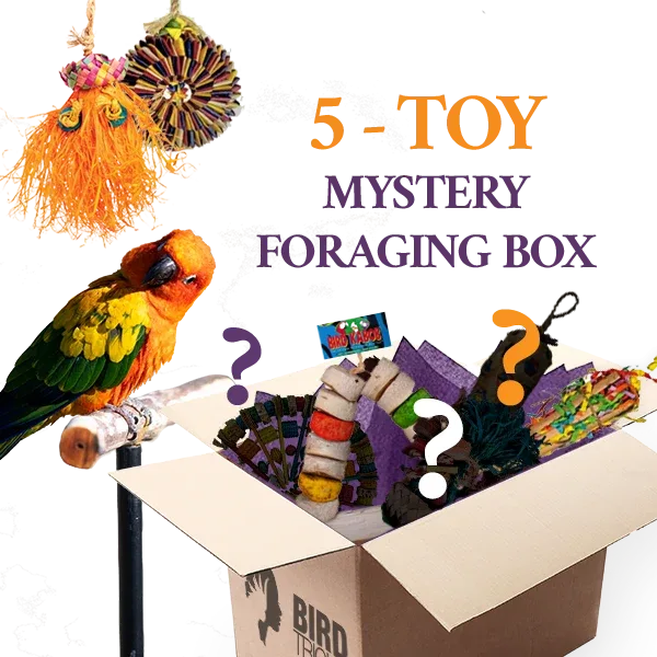 Foraging Toy Box (Bundle of 5)
