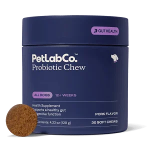 Probiotic Chew - Subscription