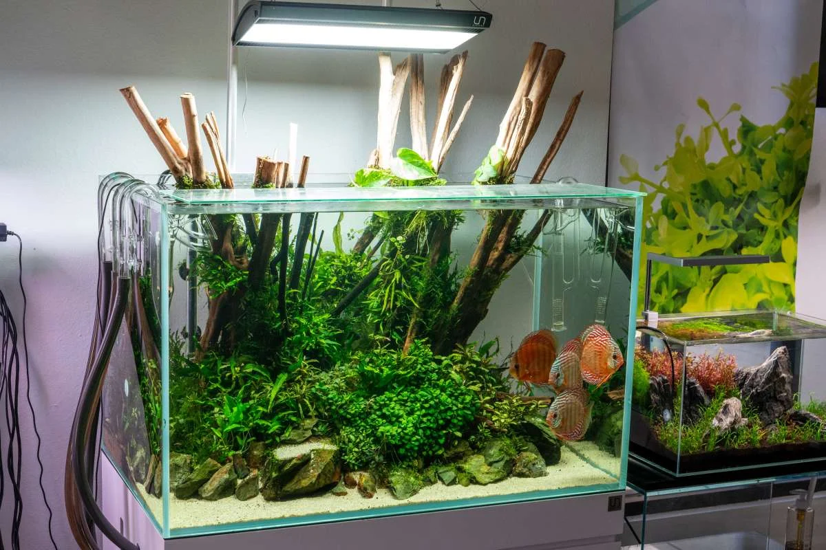 Ultum Nature Systems Titan 1 LED Light - Image 2