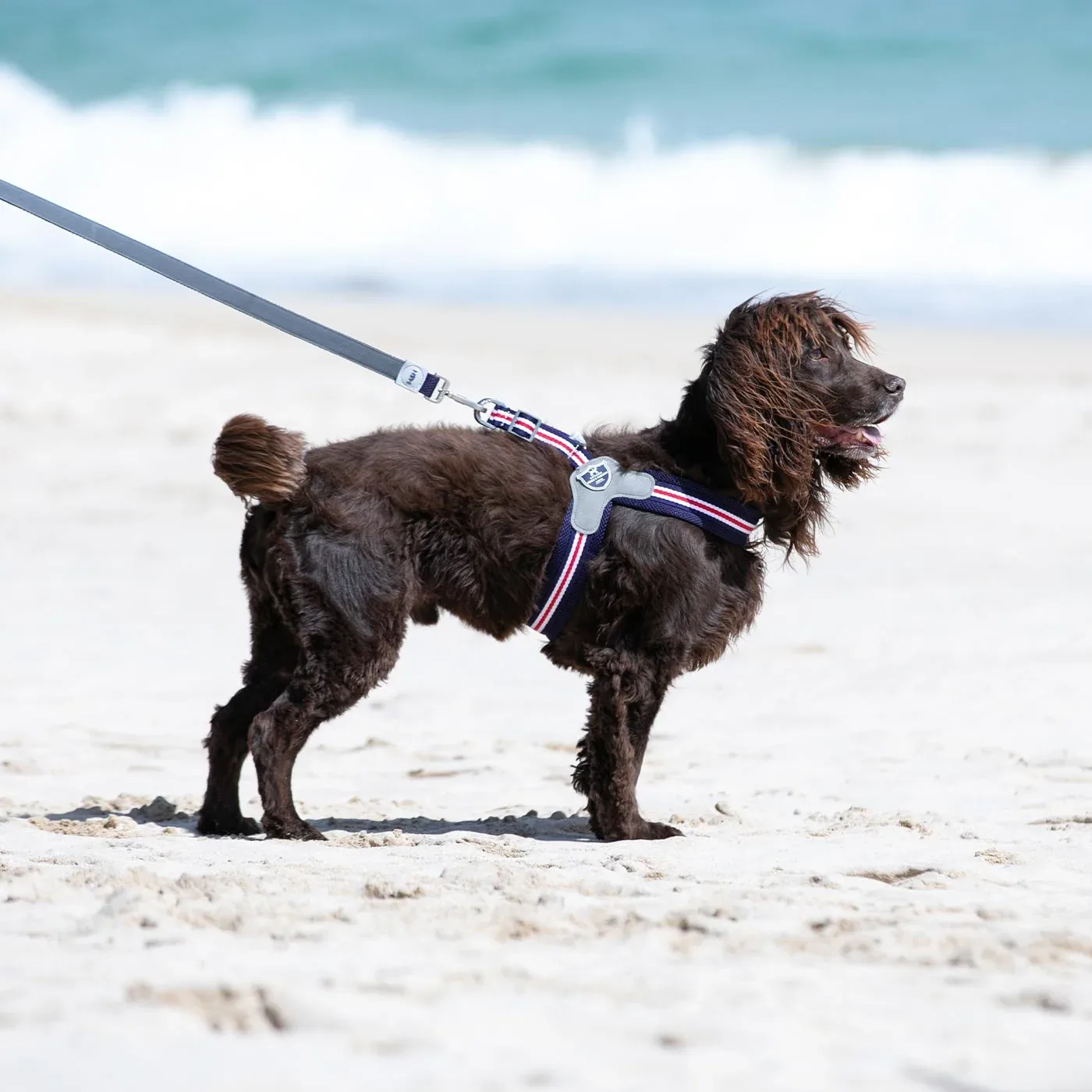 Hugo & Hudson Easy Dog Harness - Image 2