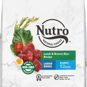 Nutro Natural Choice Large Breed Puppy Lamb & Rice Dry Dog Food - 30 lb Bag