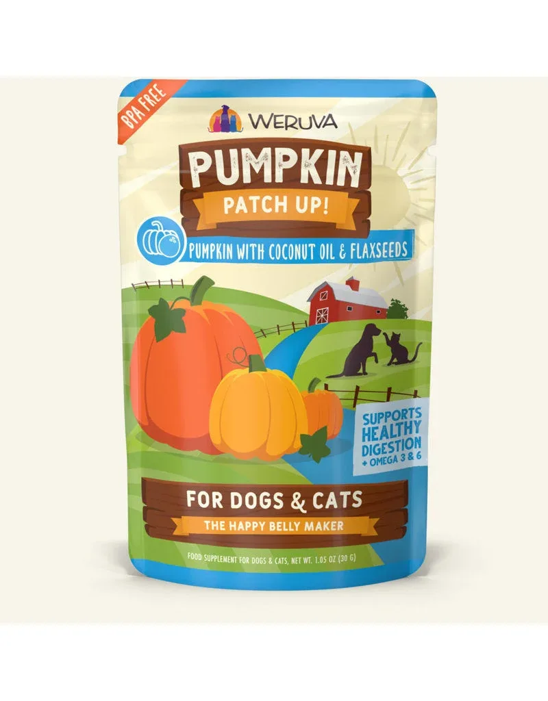 Weruva Dog and Cat Pumpkin and Coconut Oil Wet Pet Food - 2.8 Oz - Case of 12