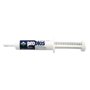 Probios® Equine One Gel