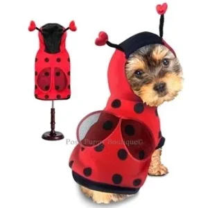 Lady Bug Costume