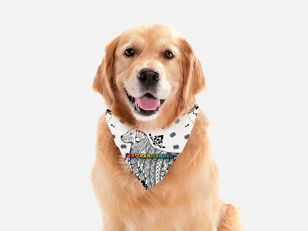 Elegance Dog Bandana by BanDoggies - Image 2