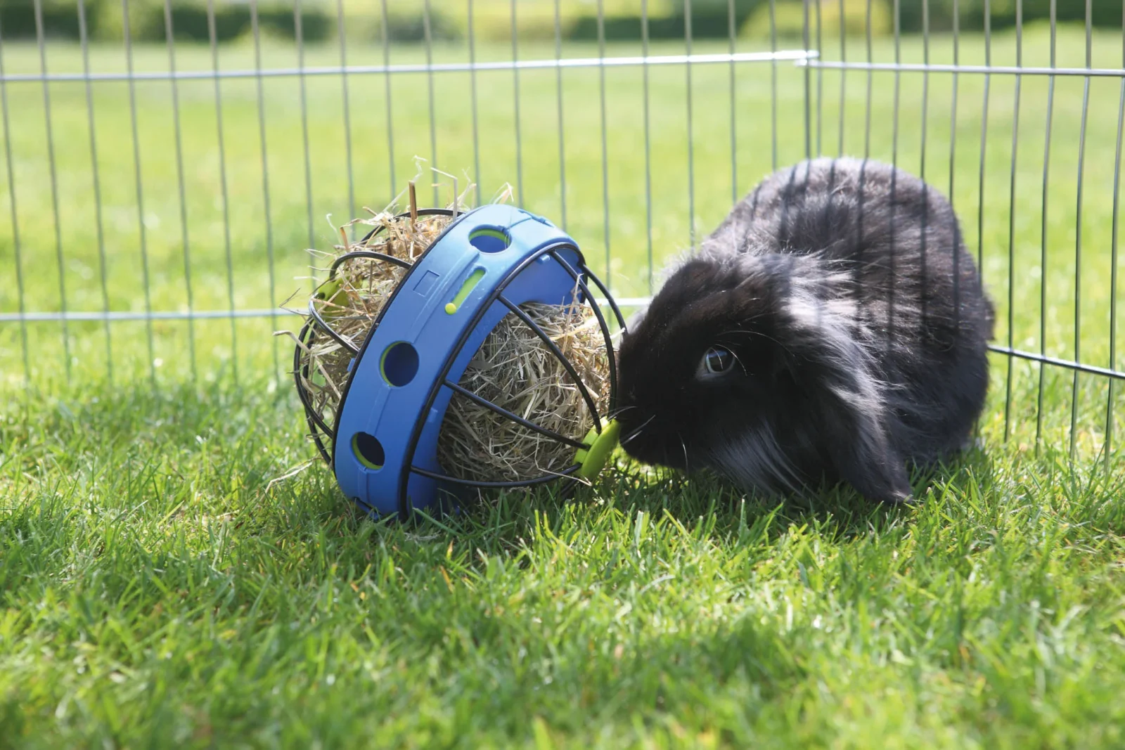 Savic Bunny Toy with Feeder for Rabbits - Image 2
