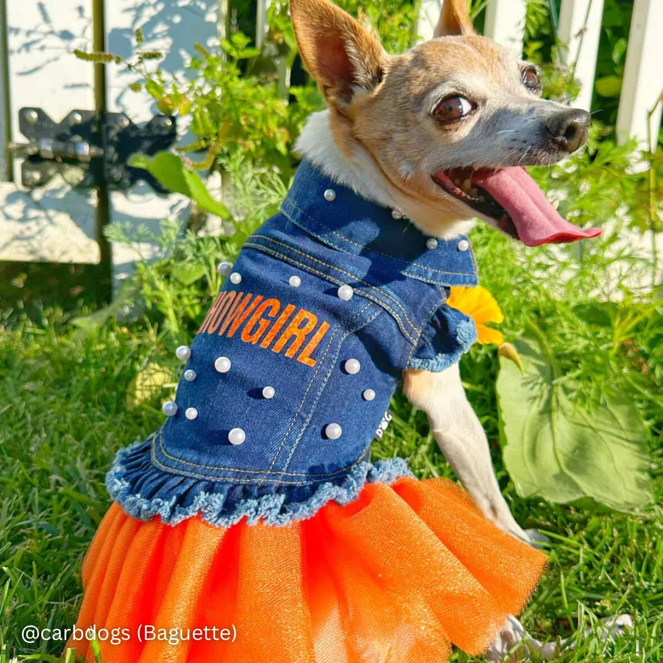 Showgirl Denim Tutu - Image 2