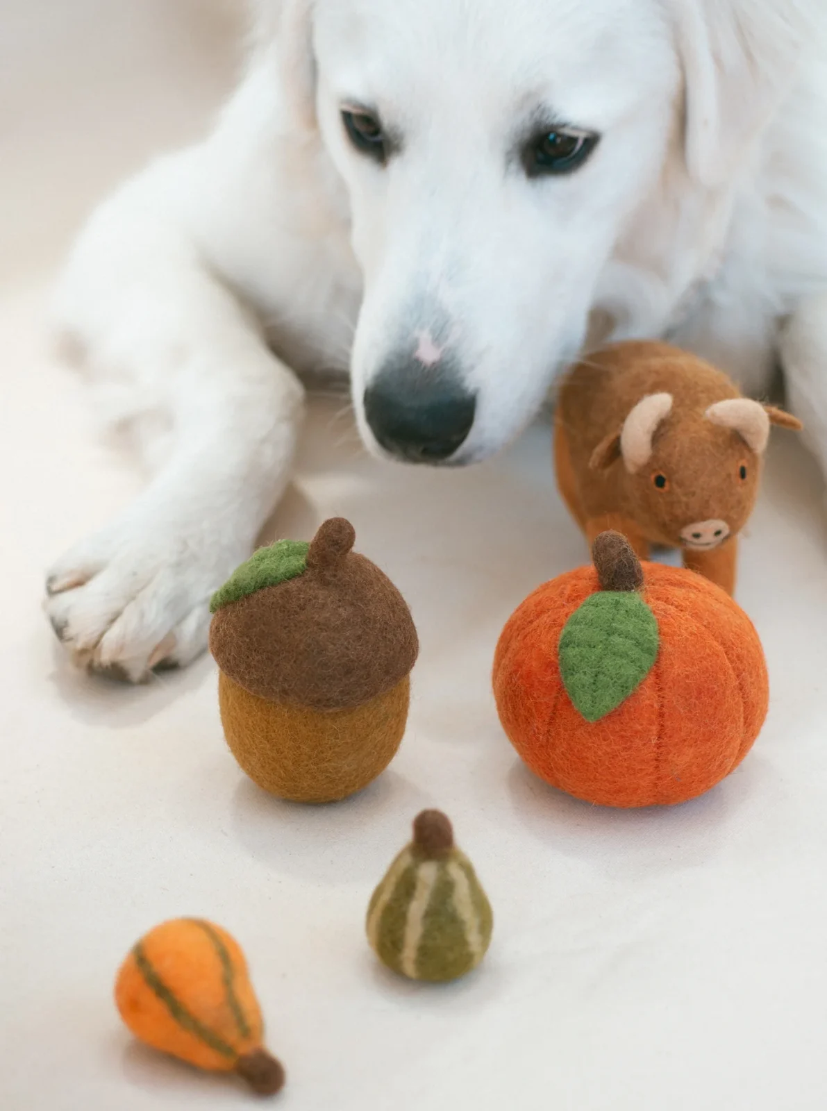 ACORN WOOL DOG TOY - Image 2