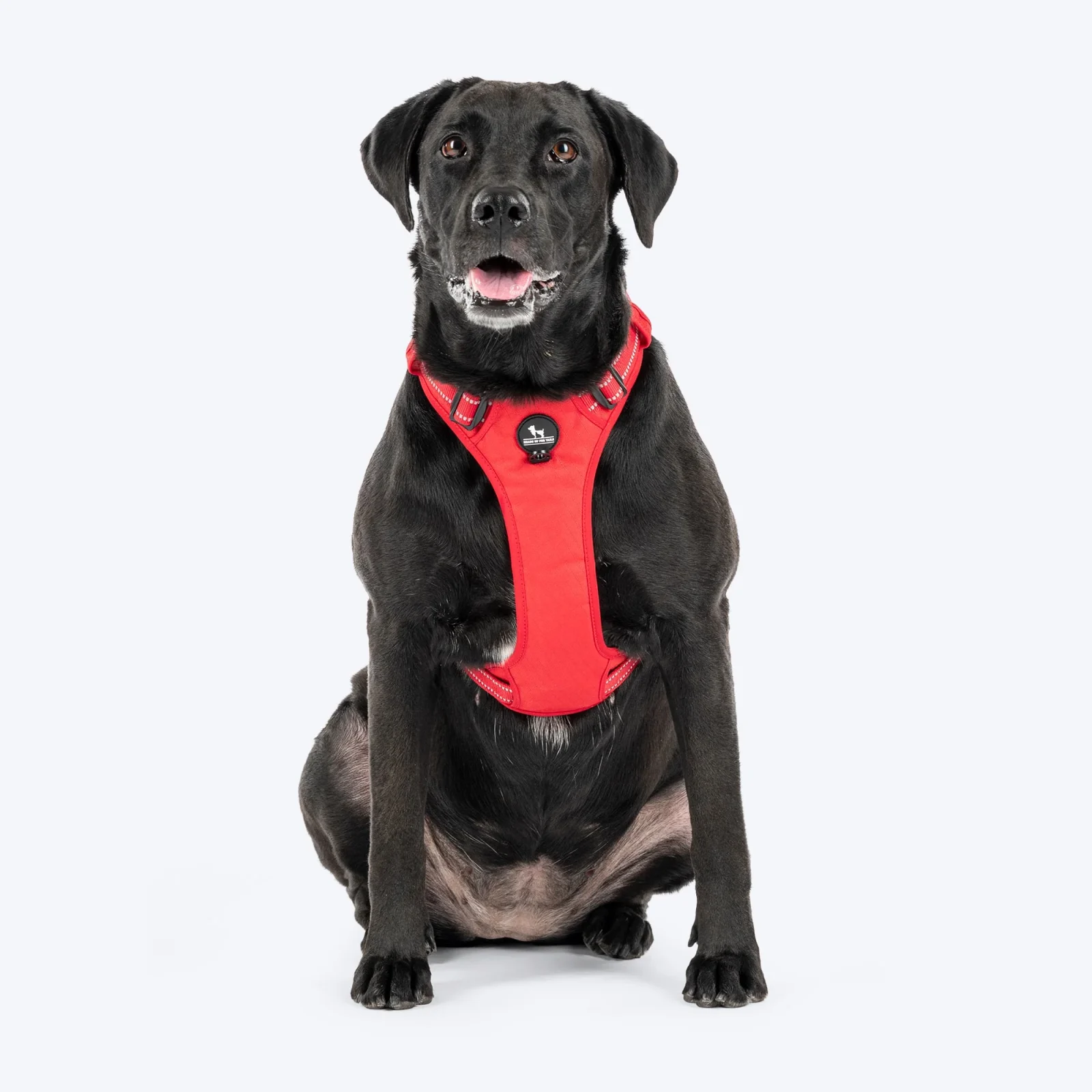 HUFT Xplorers Harness for Dogs (Red)