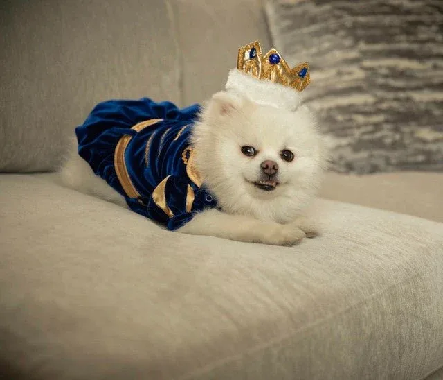 Prince Charming Costume - Image 2