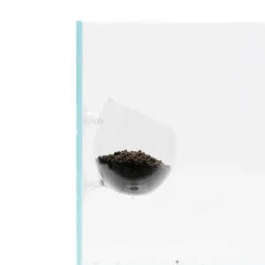 UNS Glass Cup