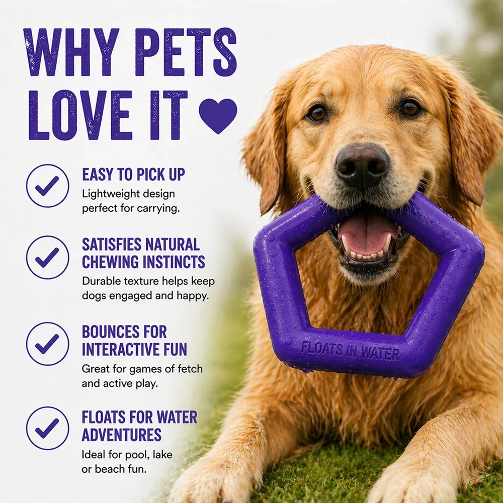 Talking Dog Club Sturdy Hexagon Floater Chew Toy for Dogs (Purple) - Image 2