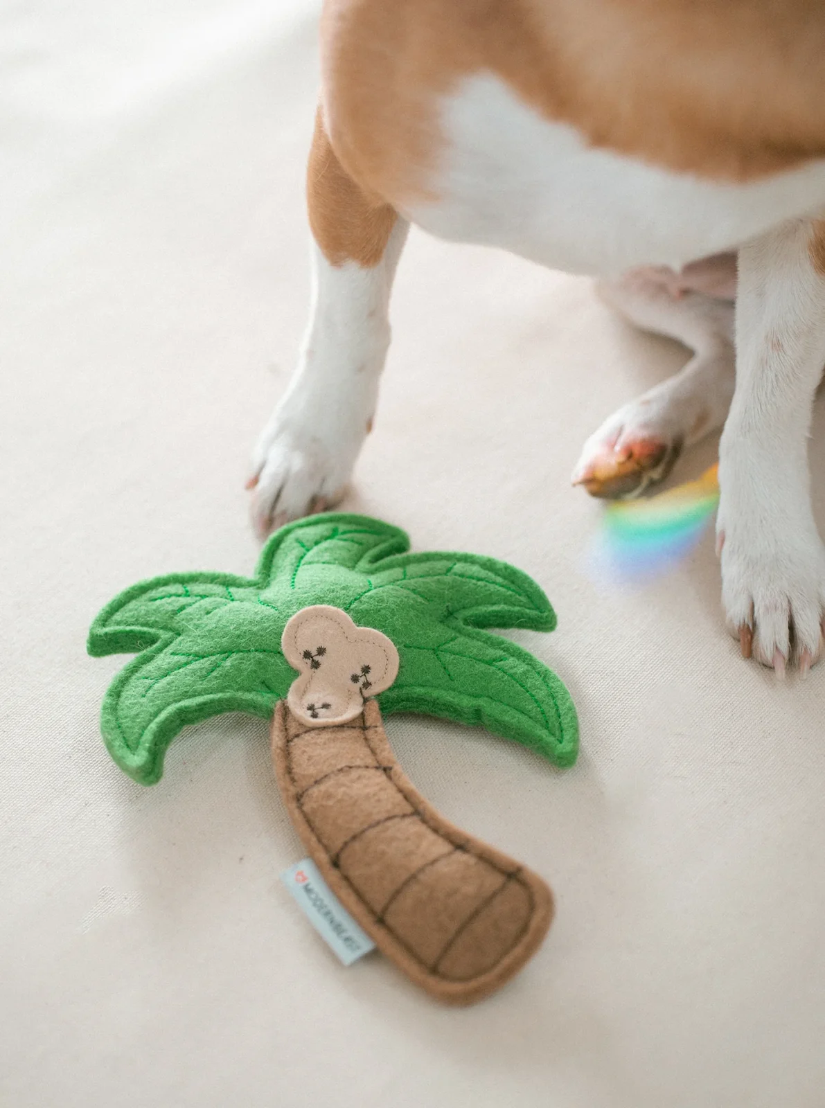 PALM TREE DOG TOY from HIT Living - Image 2