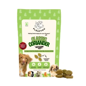 FloofYou Oven Baked Coriander Flavoured Small Animal Treats