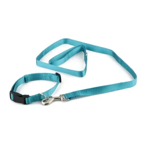 Pawpourri Nylon Webbing Leash & Collar for Cats & Dogs (Turquoise)