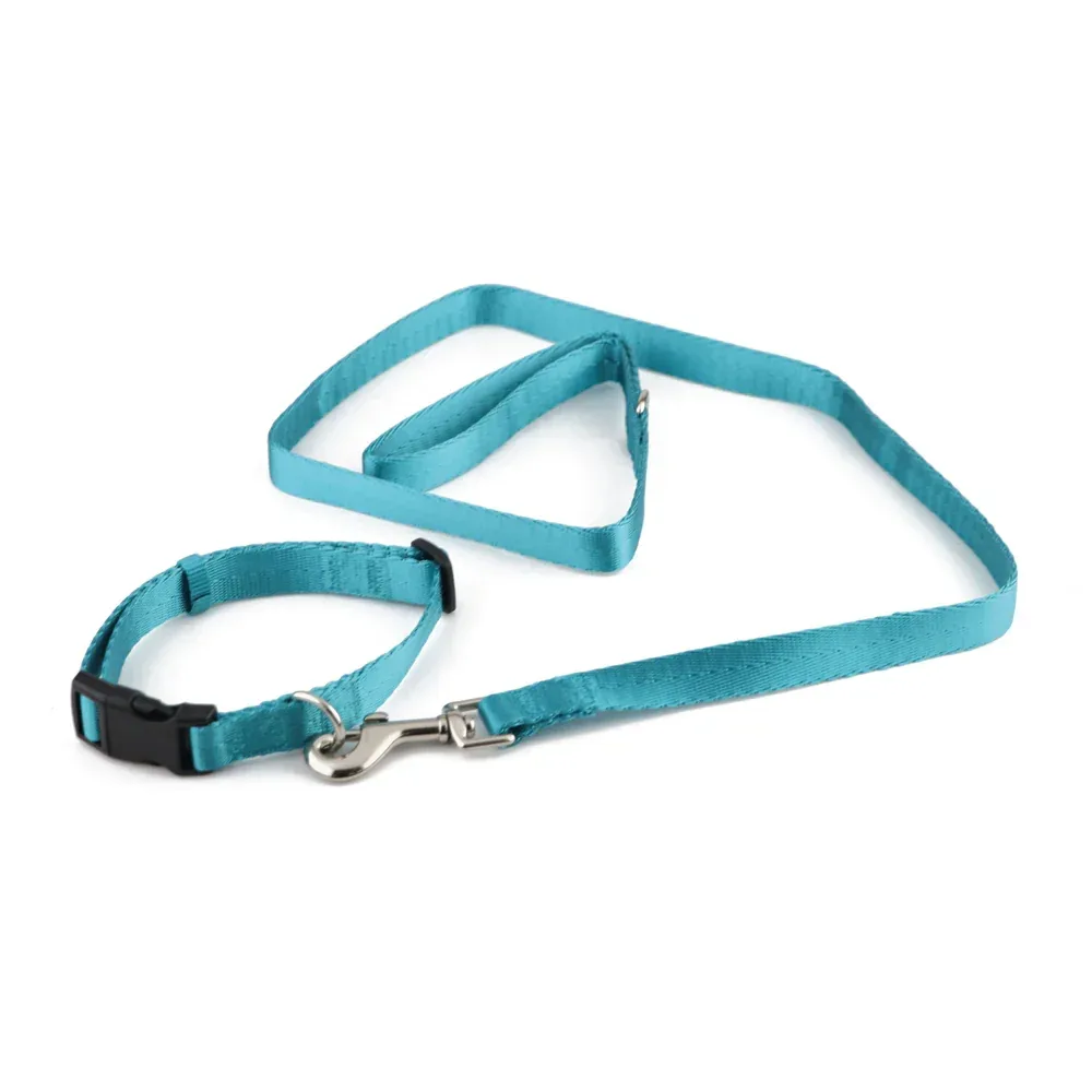 Pawpourri Nylon Webbing Leash & Collar for Cats & Dogs (Turquoise)