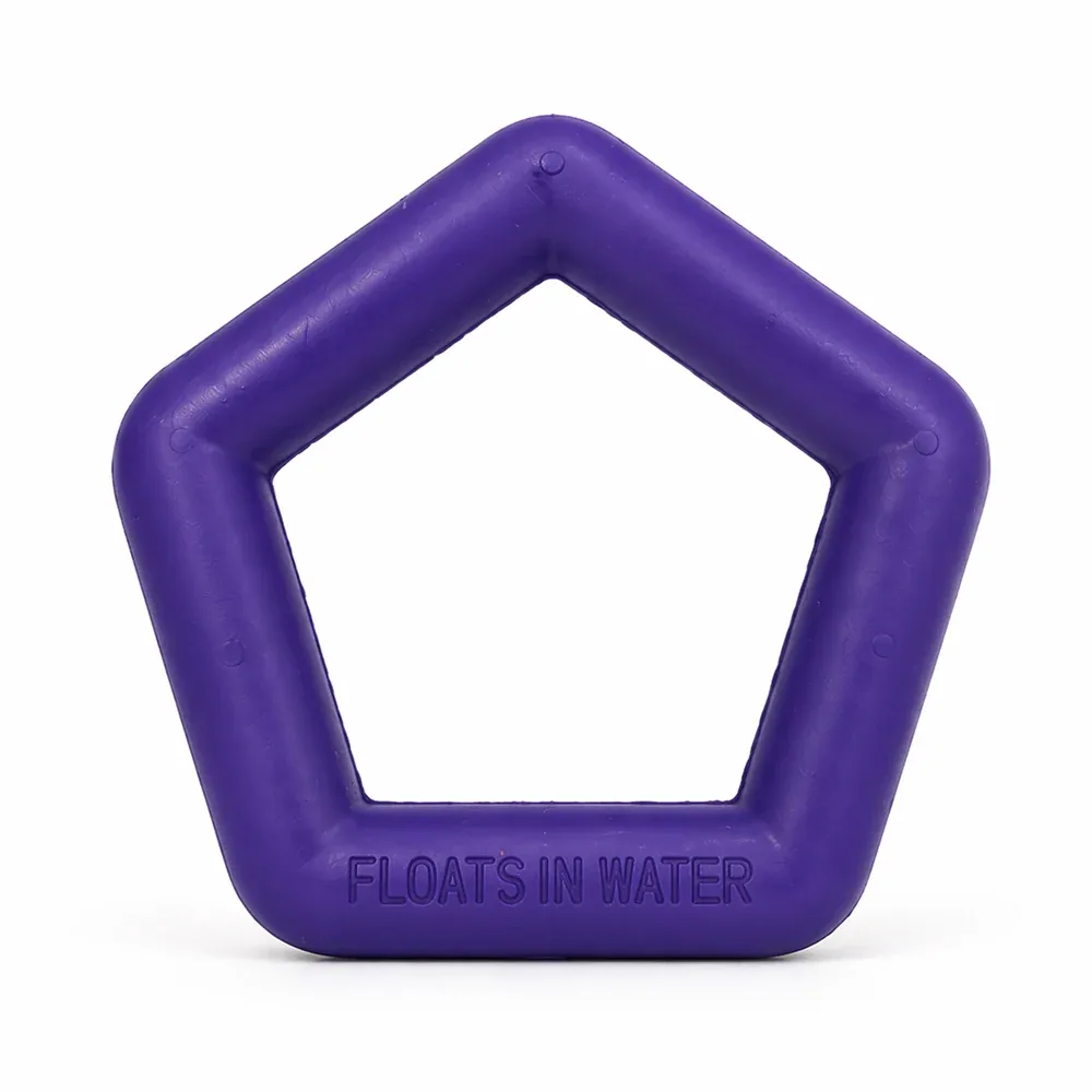 Talking Dog Club Sturdy Hexagon Floater Chew Toy for Dogs (Purple)